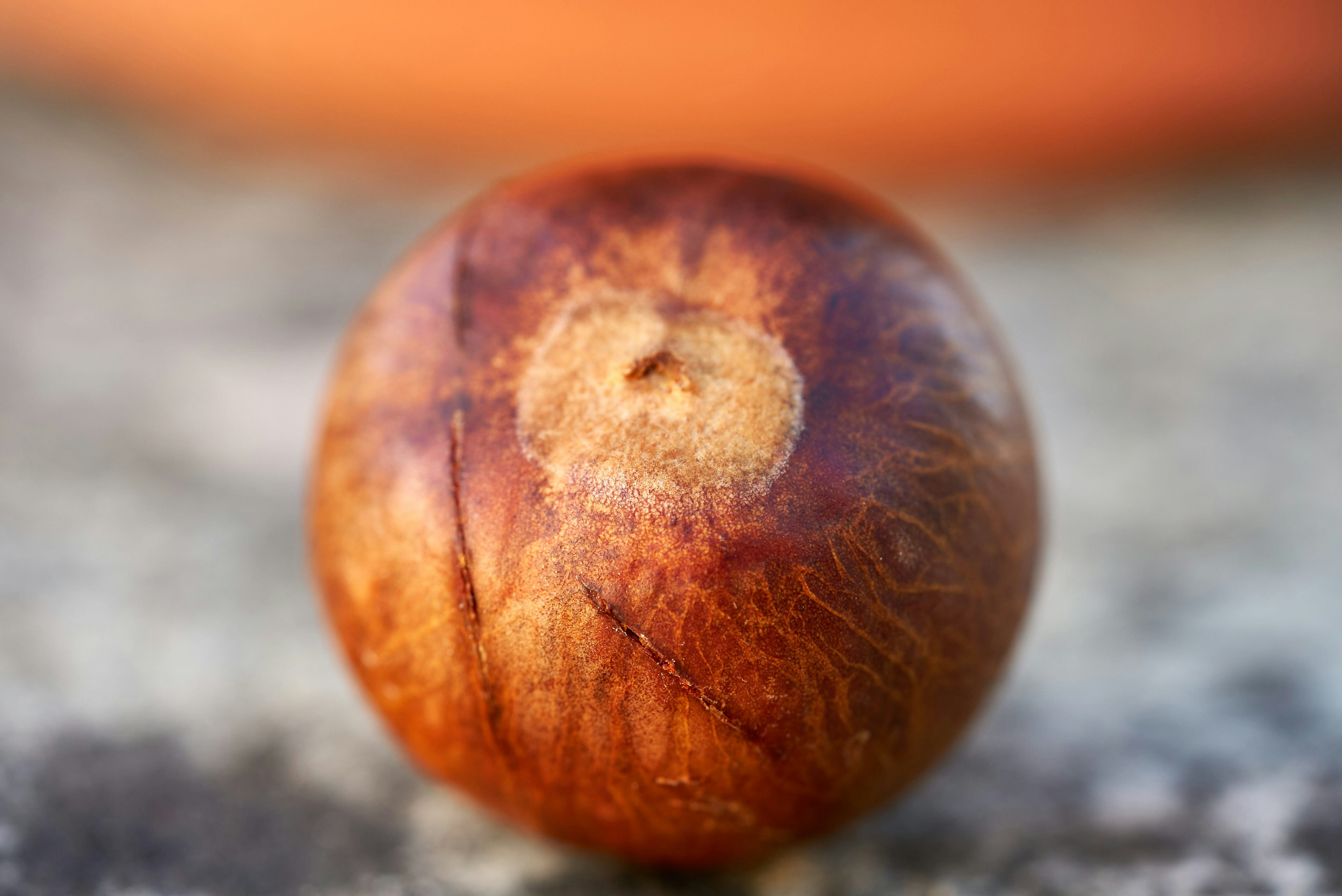 brown round fruit on gray surface