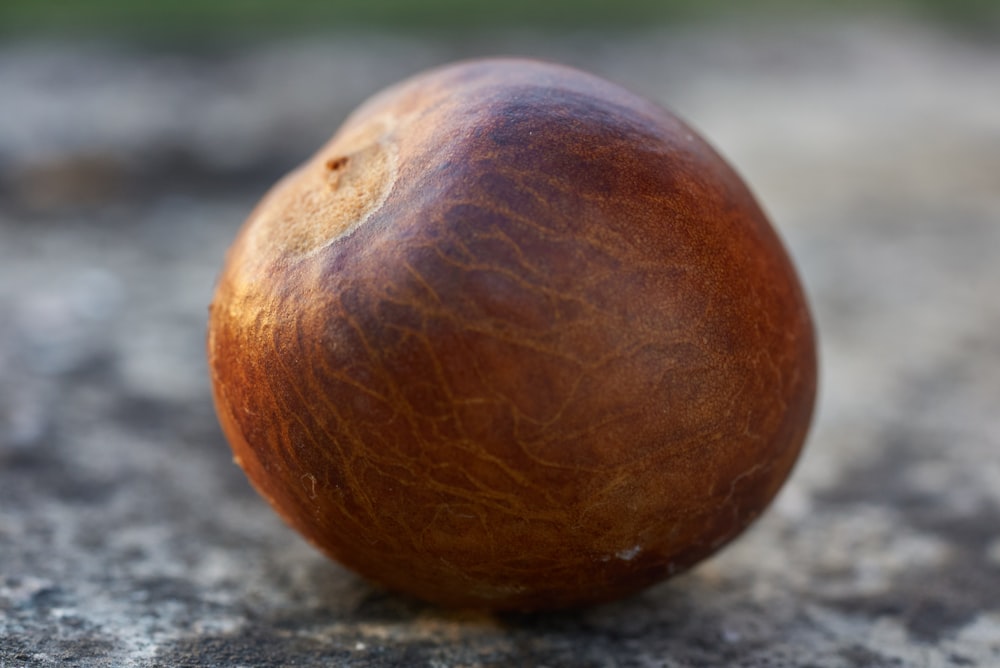 brown round fruit on gray concrete surface