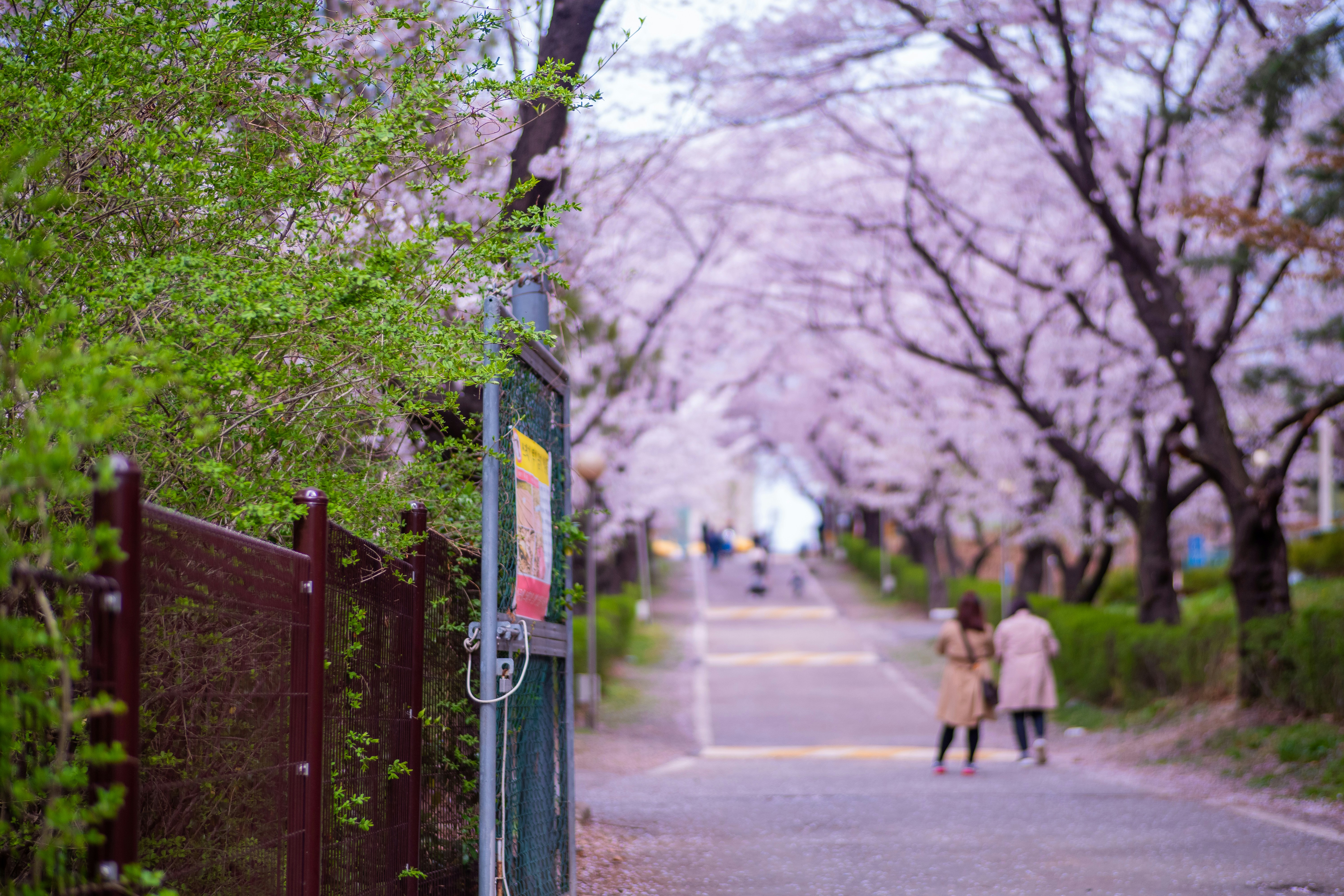 photo-1617413757675-a60d030d30fb?crop=entropy&cs=tinysrgb&fit=max&fm=jpg&ixid=MnwzMDg4fDB8MXxzZWFyY2h8Nnx8JTIyc3ByaW5nJTIwdG8lMjBkbyUyMnxlbnwwfDB8fHwxNjQ5Mjk2NjY2&ixlib=rb-1.2 Spring is here! What’s first on your to-do list?