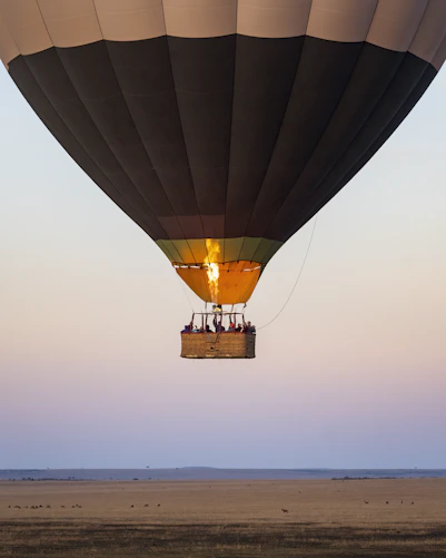 black hot air balloon on sky
