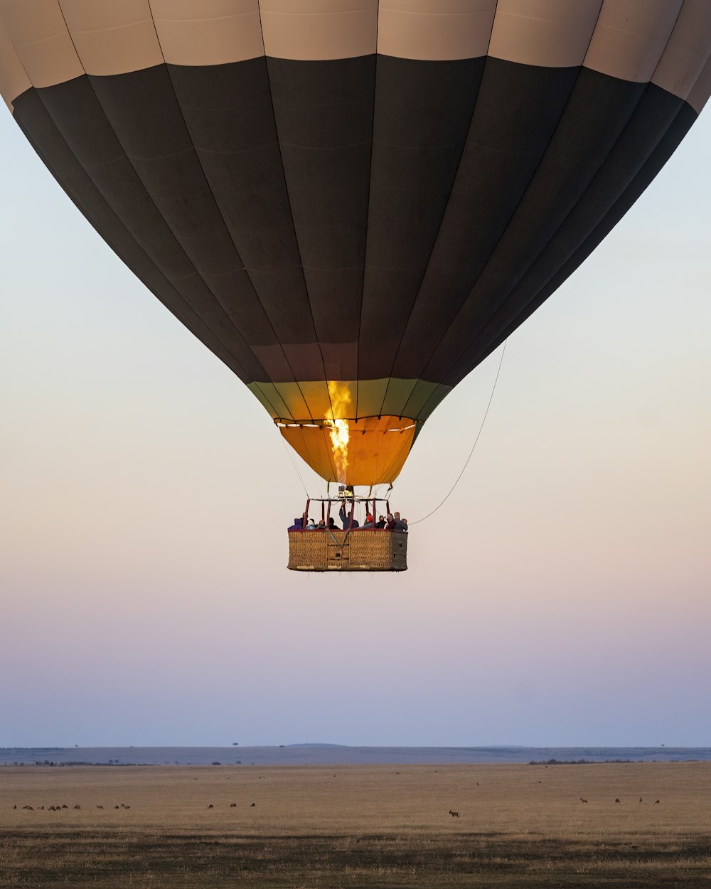 black hot air balloon on sky