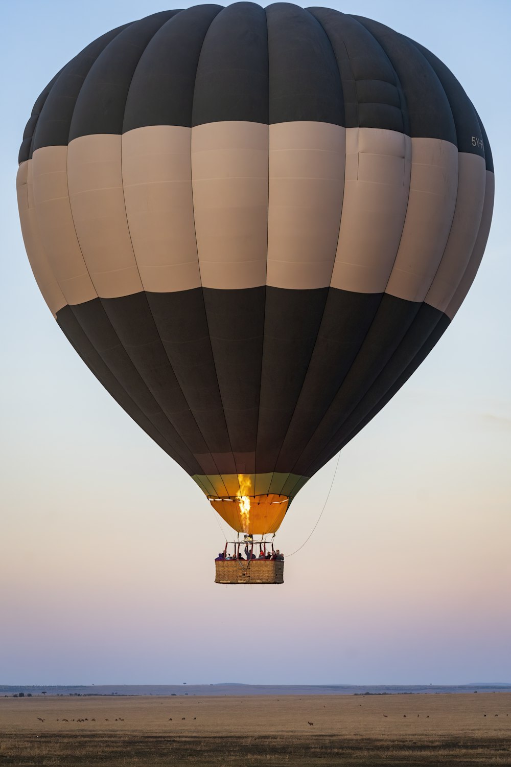 black hot air balloon under white sky during daytime