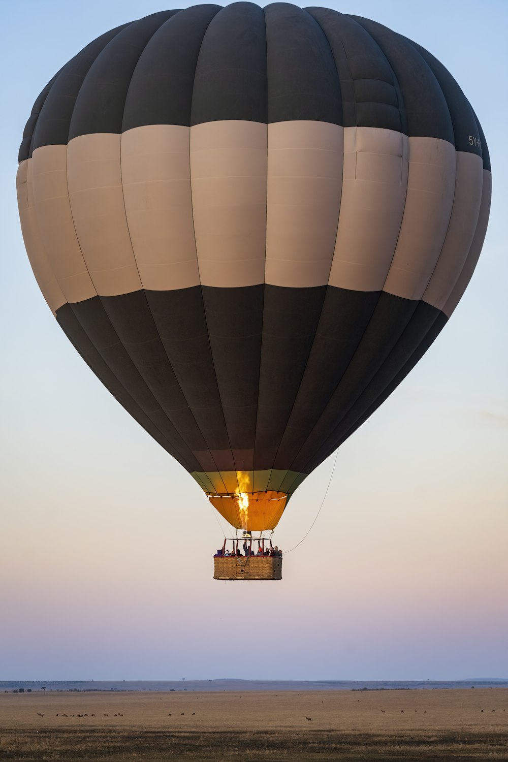 Globo aerostático negro bajo el cielo blanco durante el día