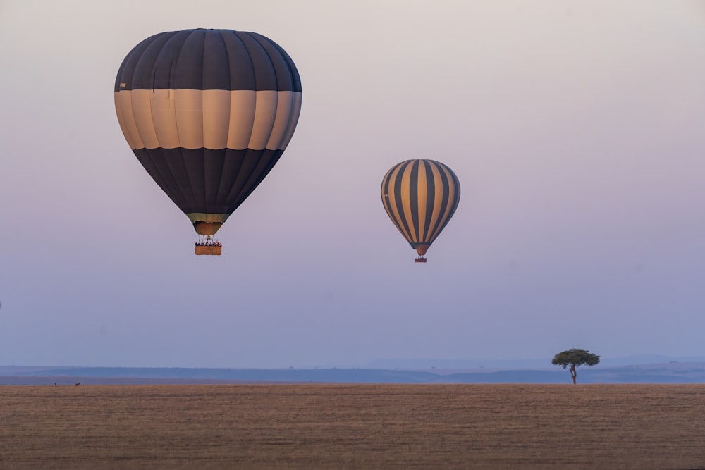 hot air balloons on the sky during daytime