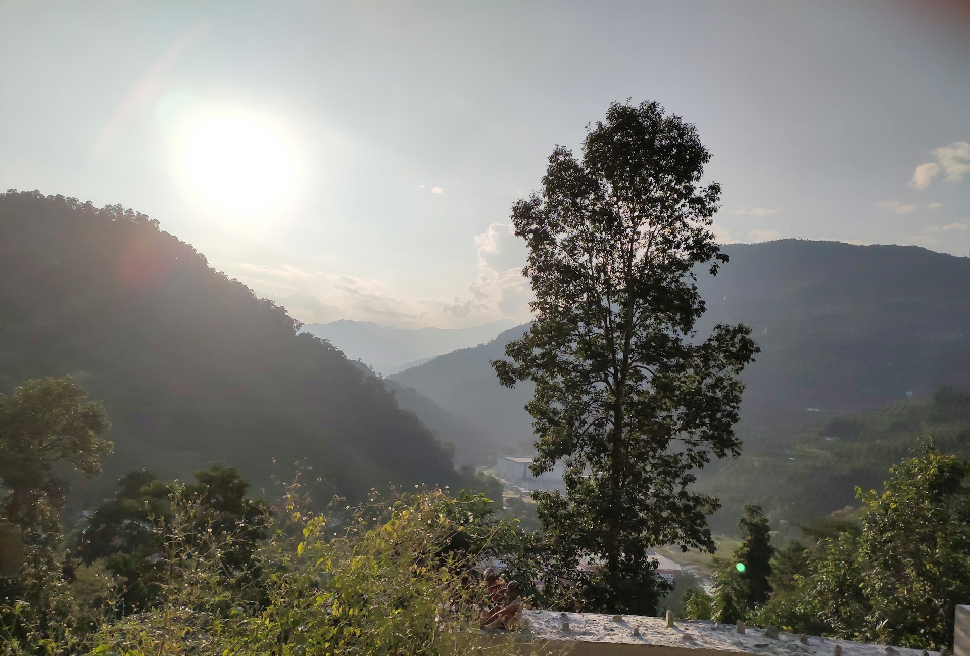 A serene landscape at golden hour, with soft light illuminating rolling hills and a solitary tree.