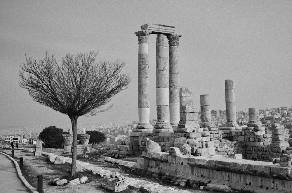 white concrete pillar near bare trees during daytime