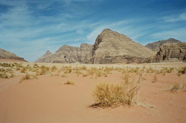Brown grass on brown sand during daytime — Wadi Rum, Jordan