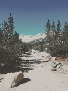 A rugged trail winding through a multi-acre property with Mt Rainier looming majestically.