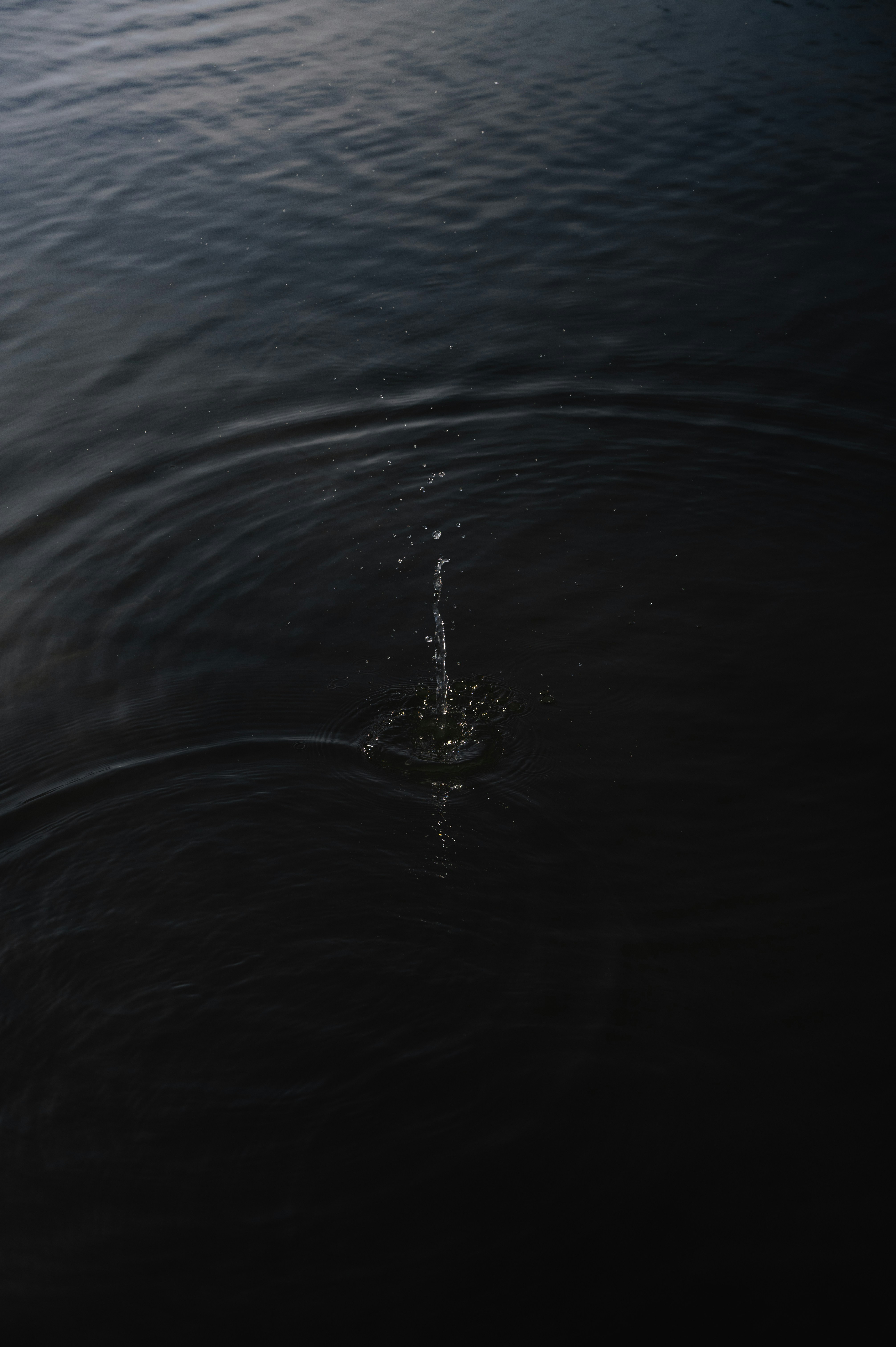 Photo by ryunosuke_kikuno