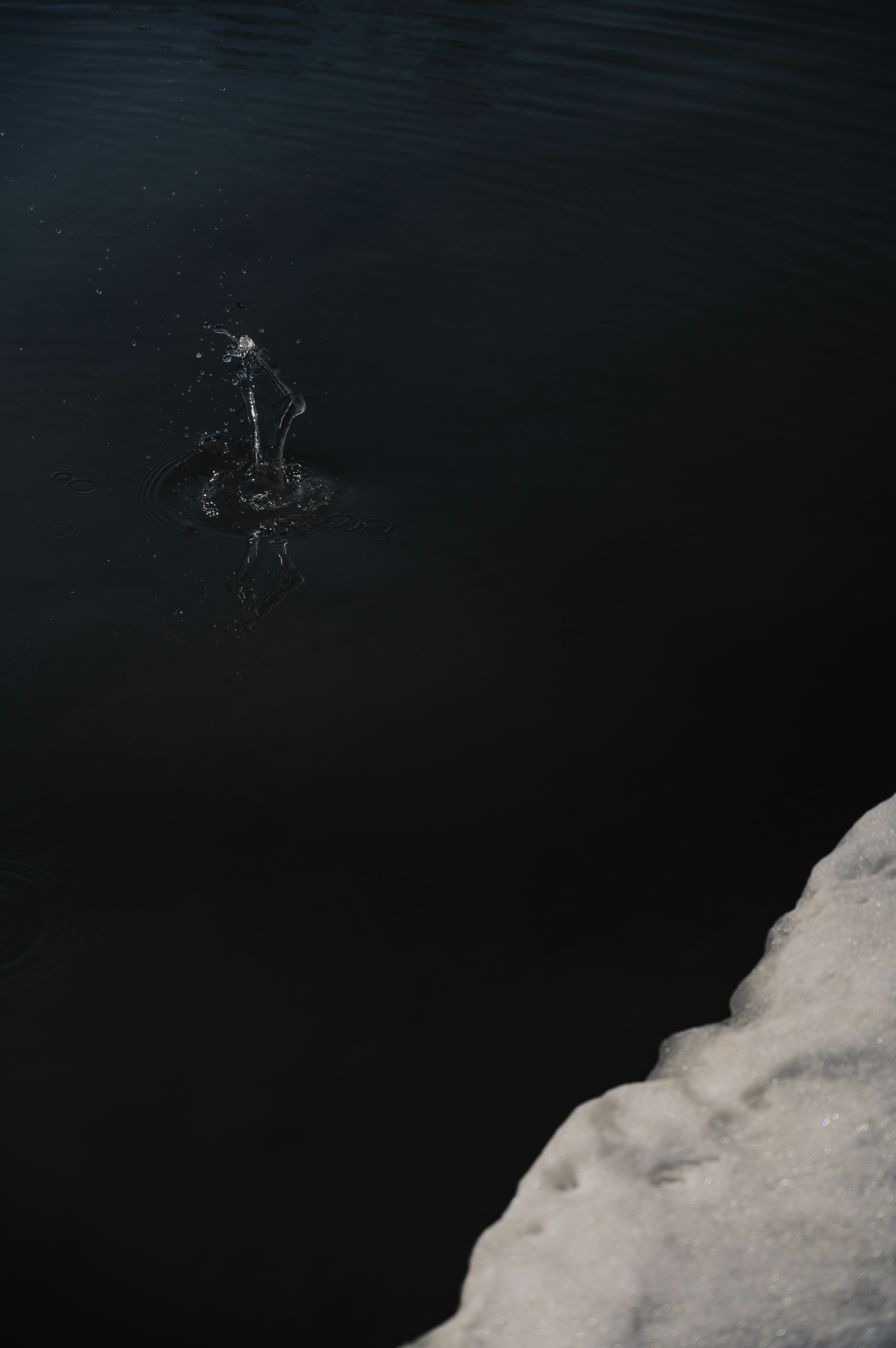 Photo by ryunosuke_kikuno