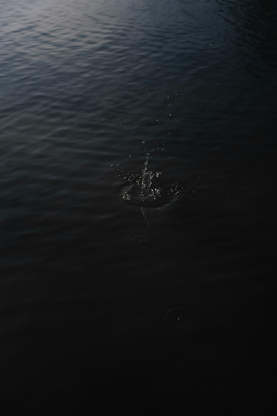 water drop on body of water