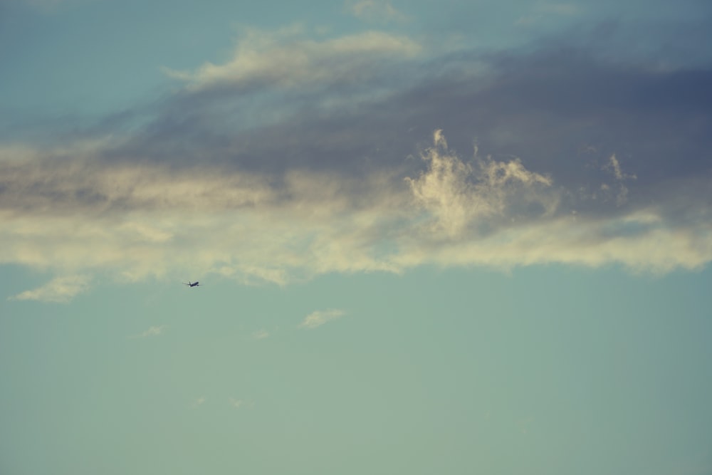 Flugzeug, das tagsüber am Himmel fliegt