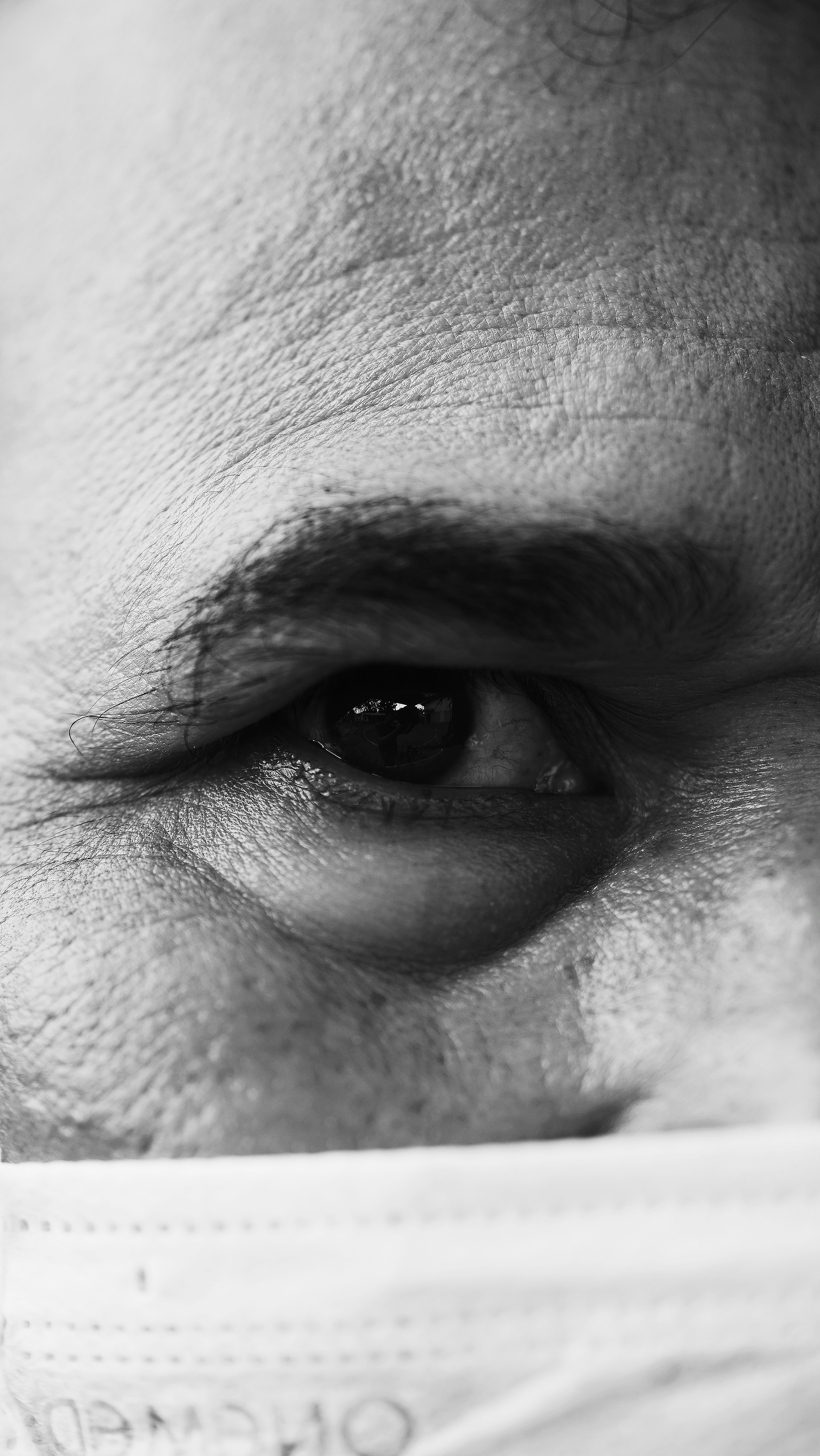 gråtonet foto af personers øjne