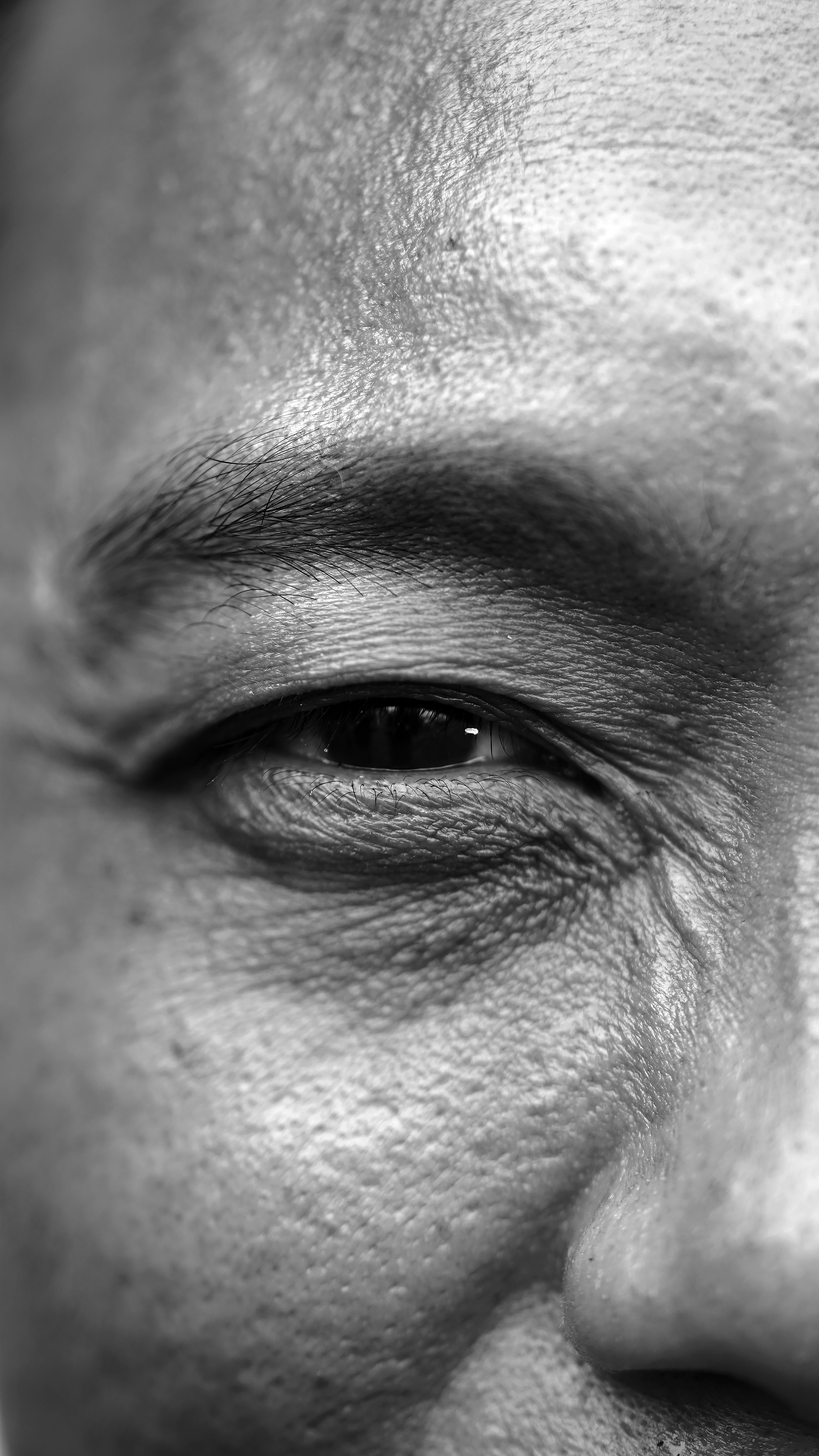 grayscale photo of persons eyes