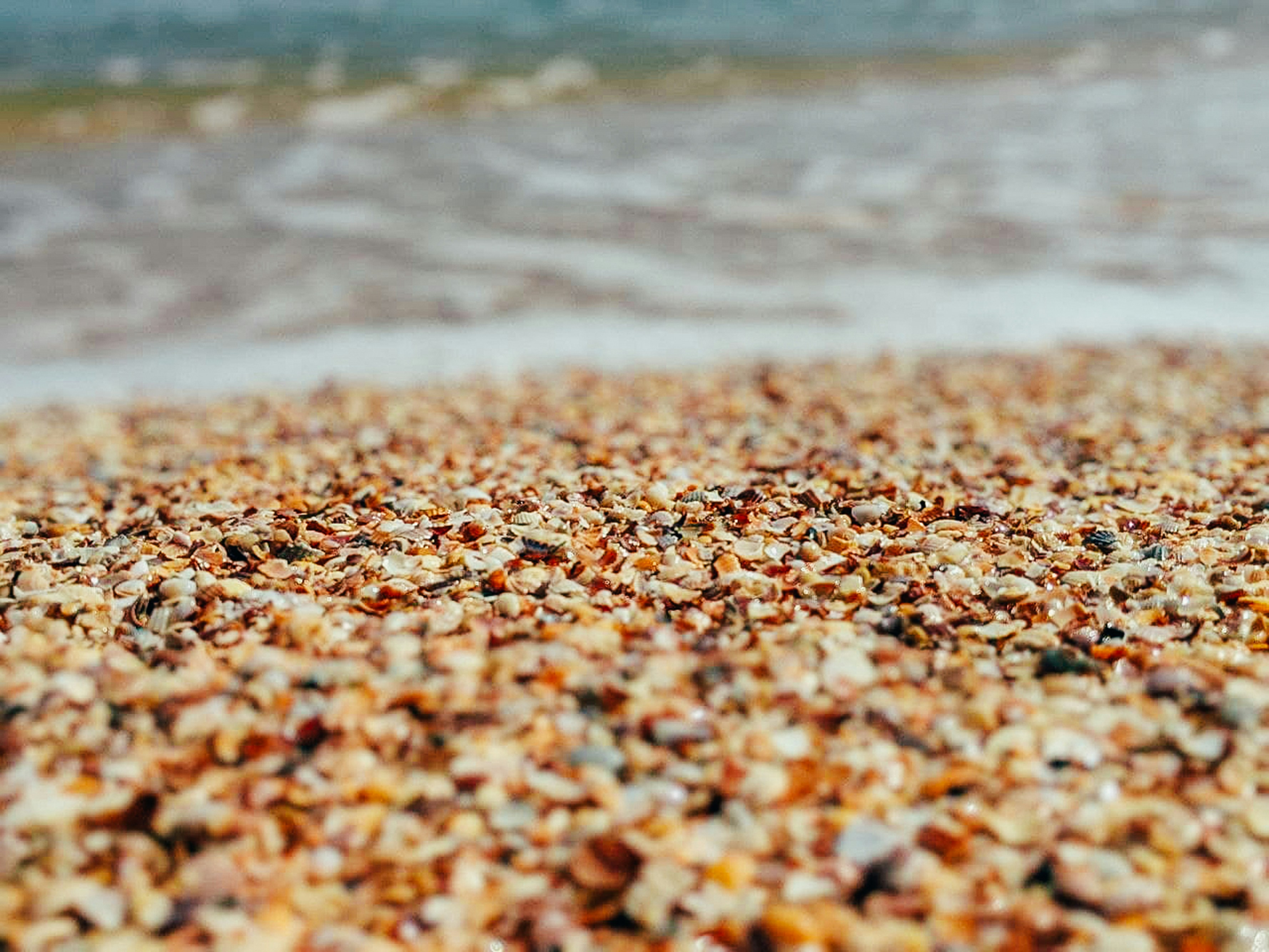 Photo by animgraphlab