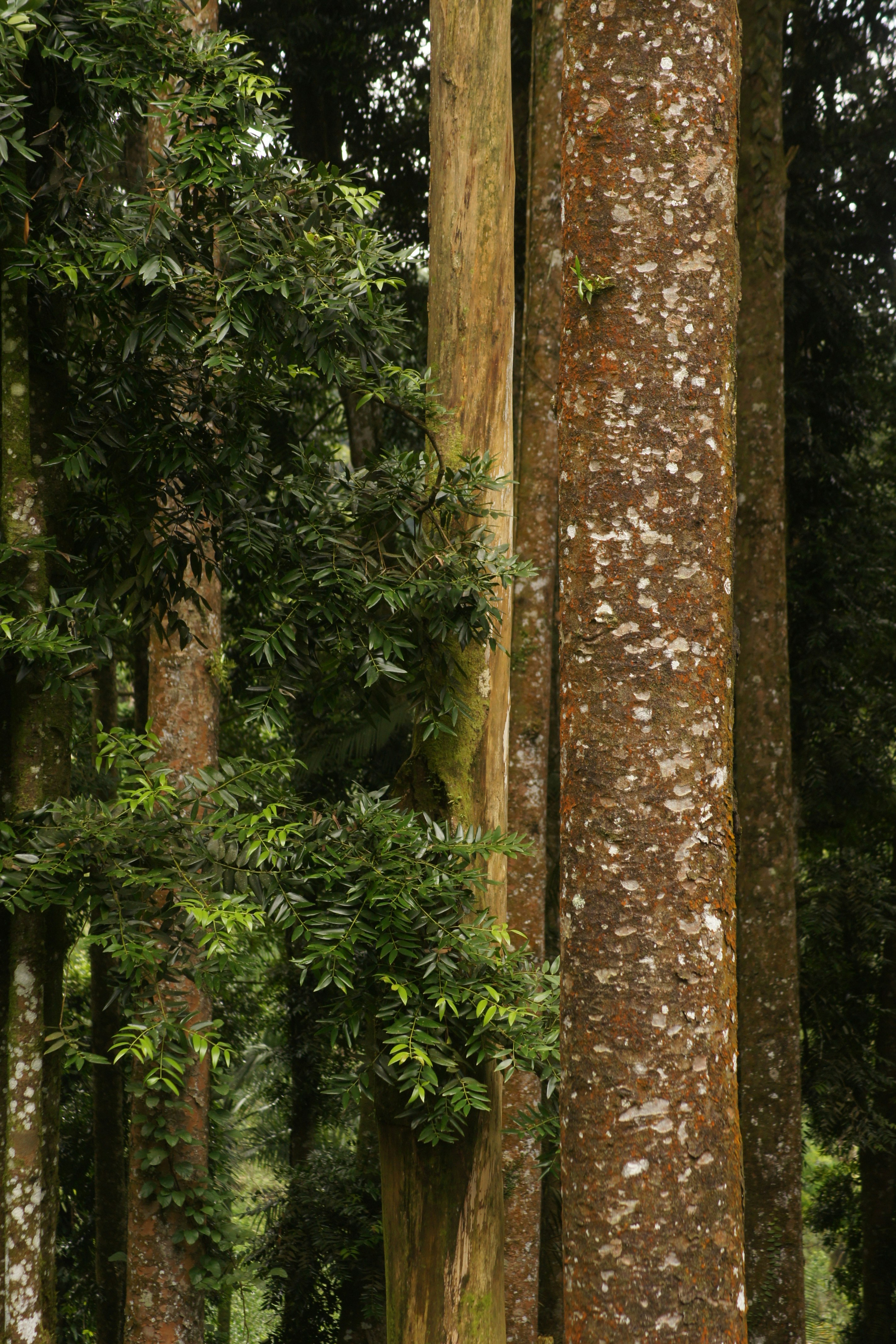 Photo by abrahamnoah