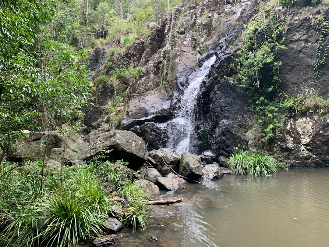 waterfall-rainforest ... photo