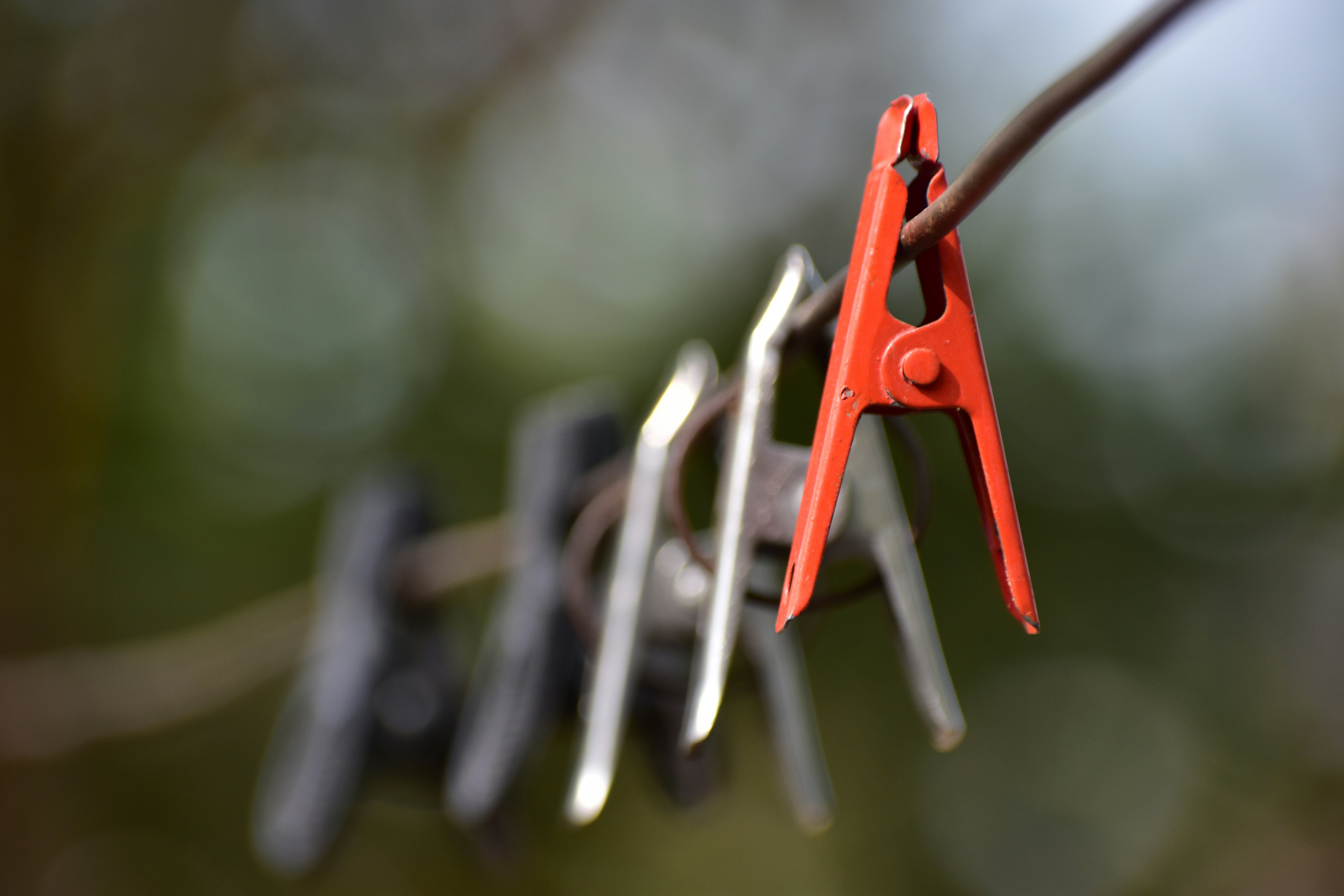 Photo by sagarshubham