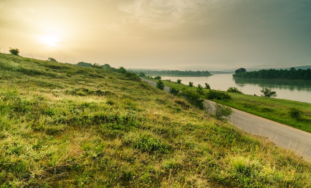 green grass field near body of water during daytime