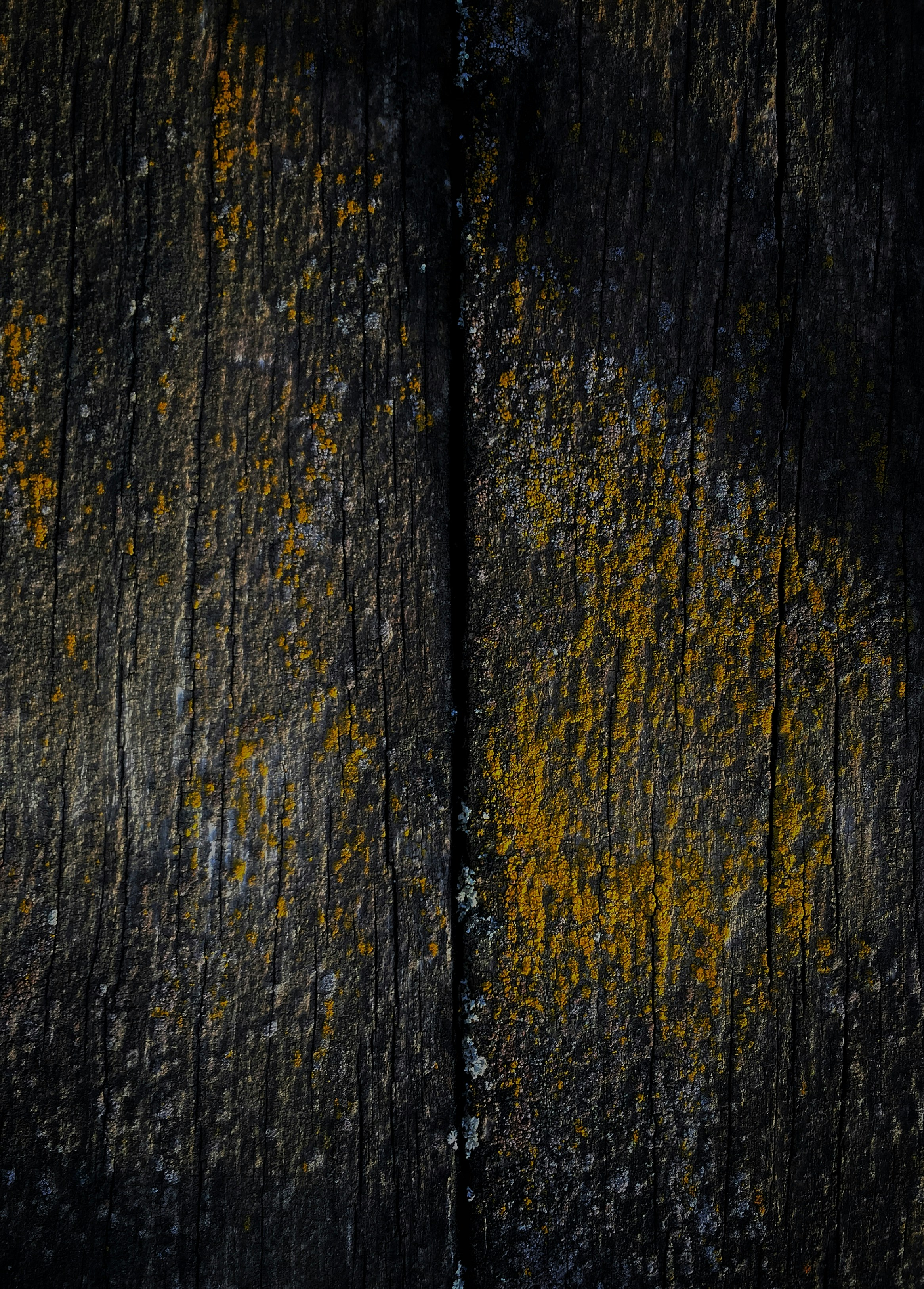 Photo by benjamindem