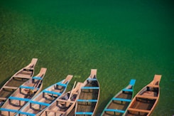 blue and brown wooden boat on green water
