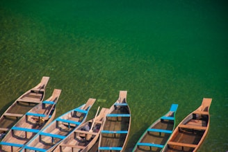 blue and brown wooden boat on green water