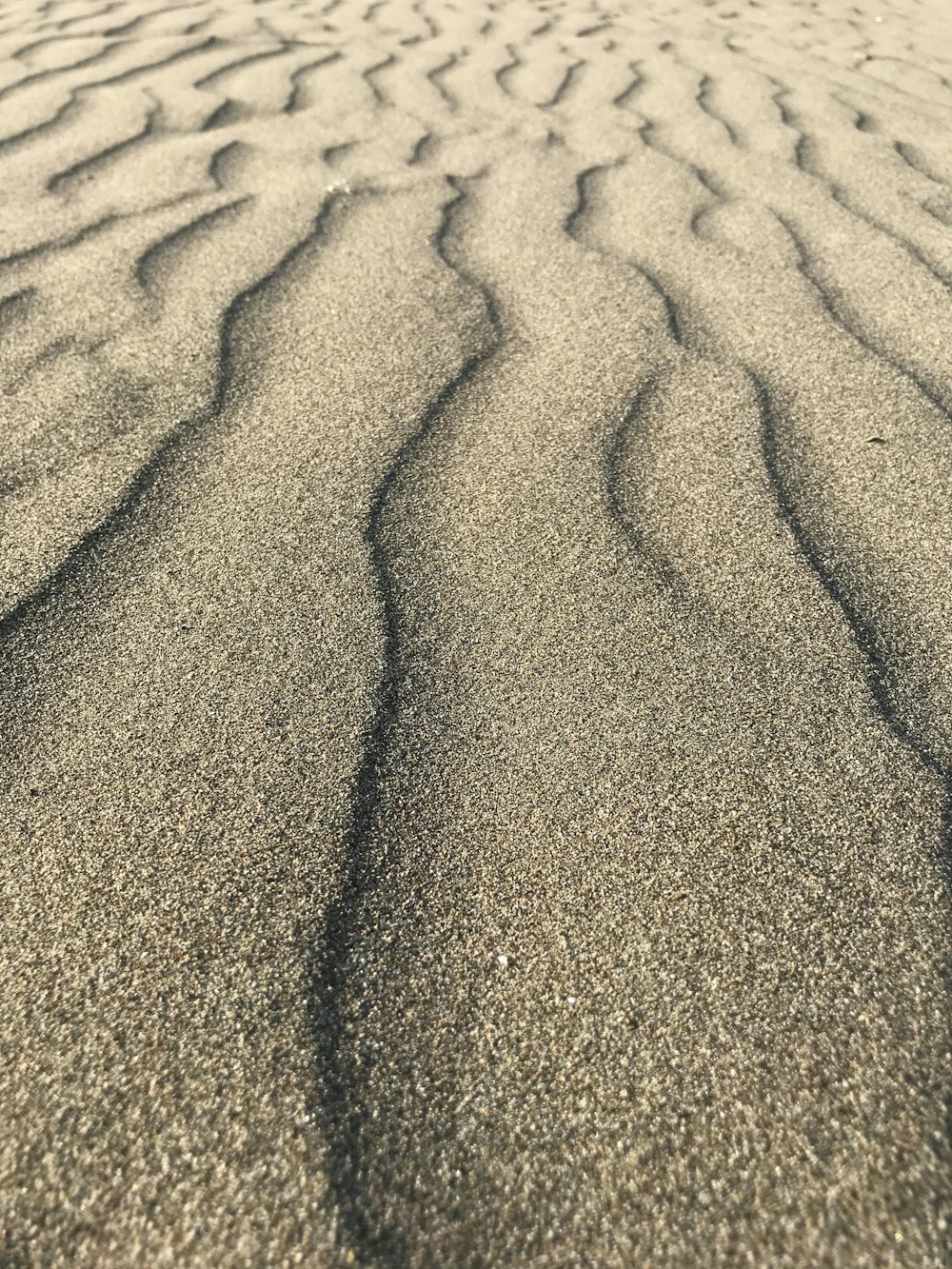 sabbia marrone con impronte durante il giorno