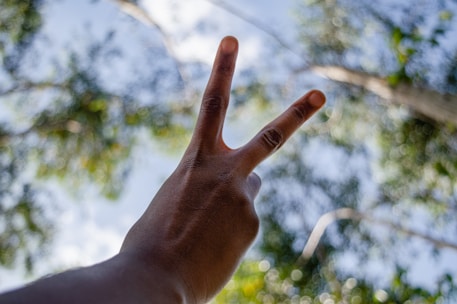 Close-up of hands holding a peace symbol made of intertwined branches.