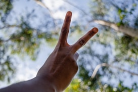 A hand is making a peace sign against a background of trees and sky. The fingers are positioned to form a V shape, and the scene appears to be outdoors with natural light. The background features a bokeh effect with out-of-focus leaves and branches.