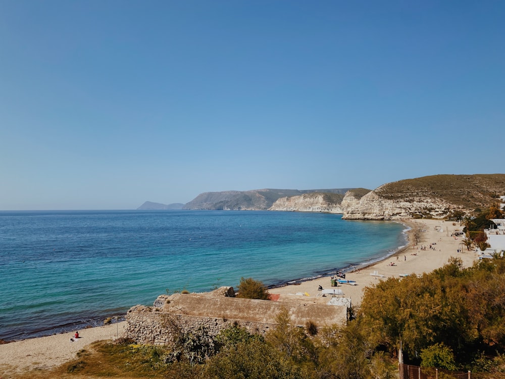 people on beach during daytime