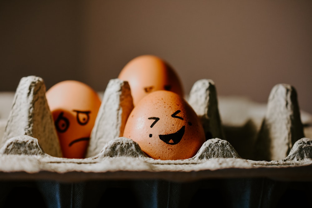 brown egg on white egg tray