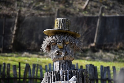 A wooden sculpture resembling a figure with a hat stands in an outdoor setting. The face is crafted with a textured material that mimics hair and facial features. The background includes a fence and some greenery.