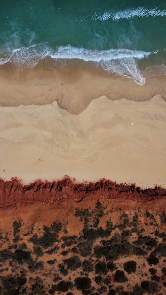 brown and white abstract painting