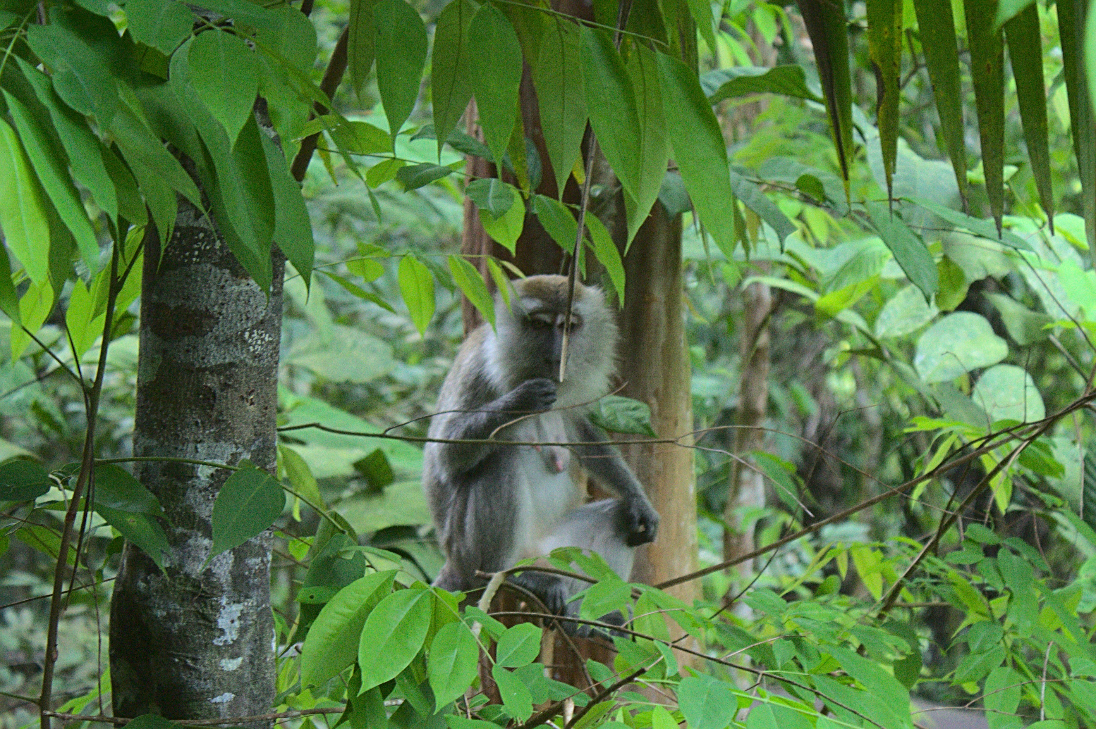 Photo by giuliogabrieli