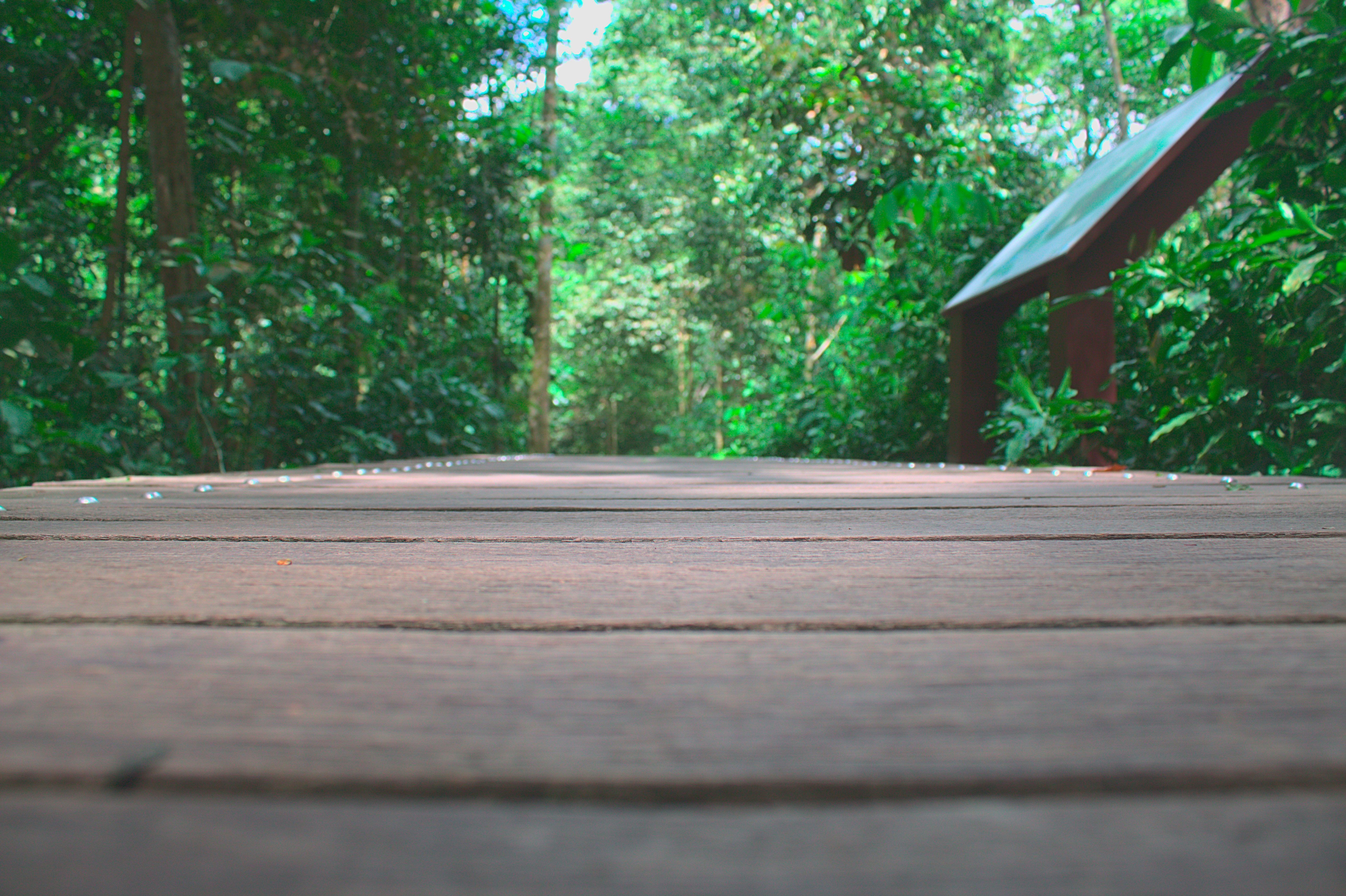 Photo by giuliogabrieli