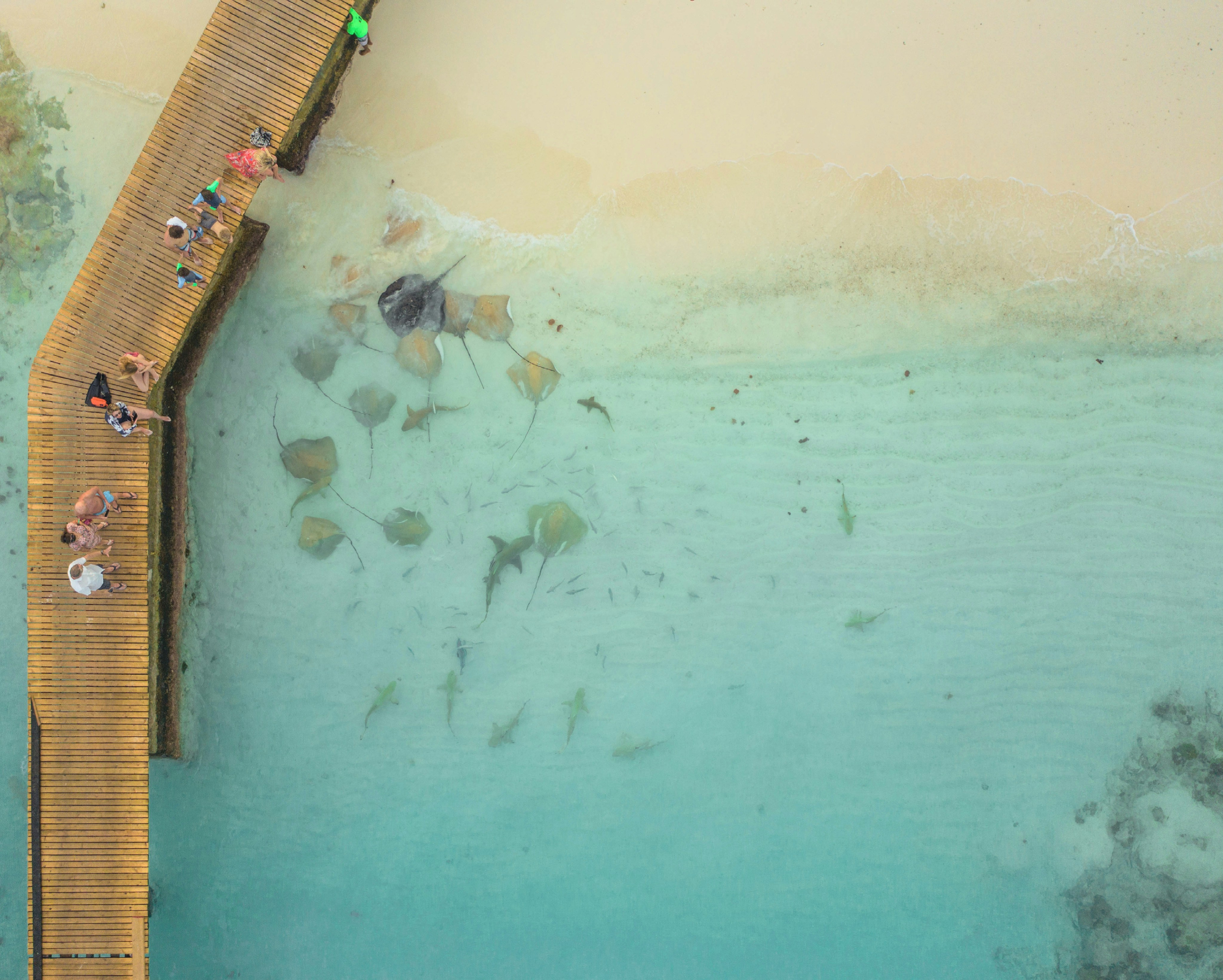 Reethi Rah resort 