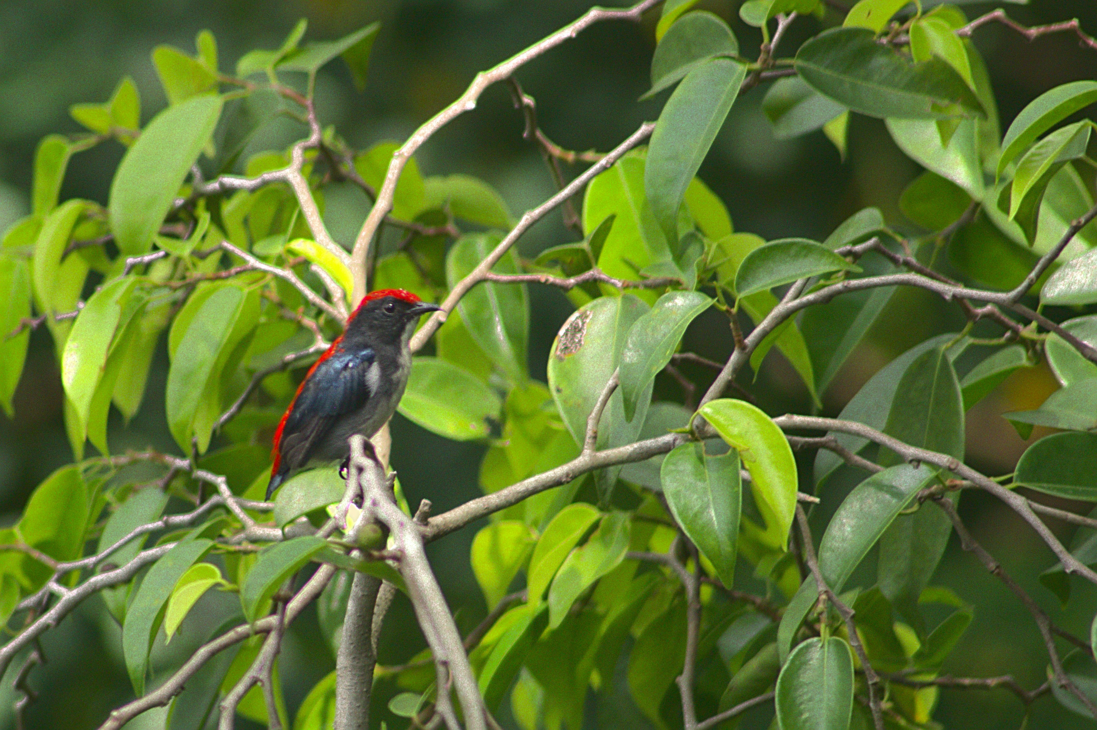 Photo by giuliogabrieli