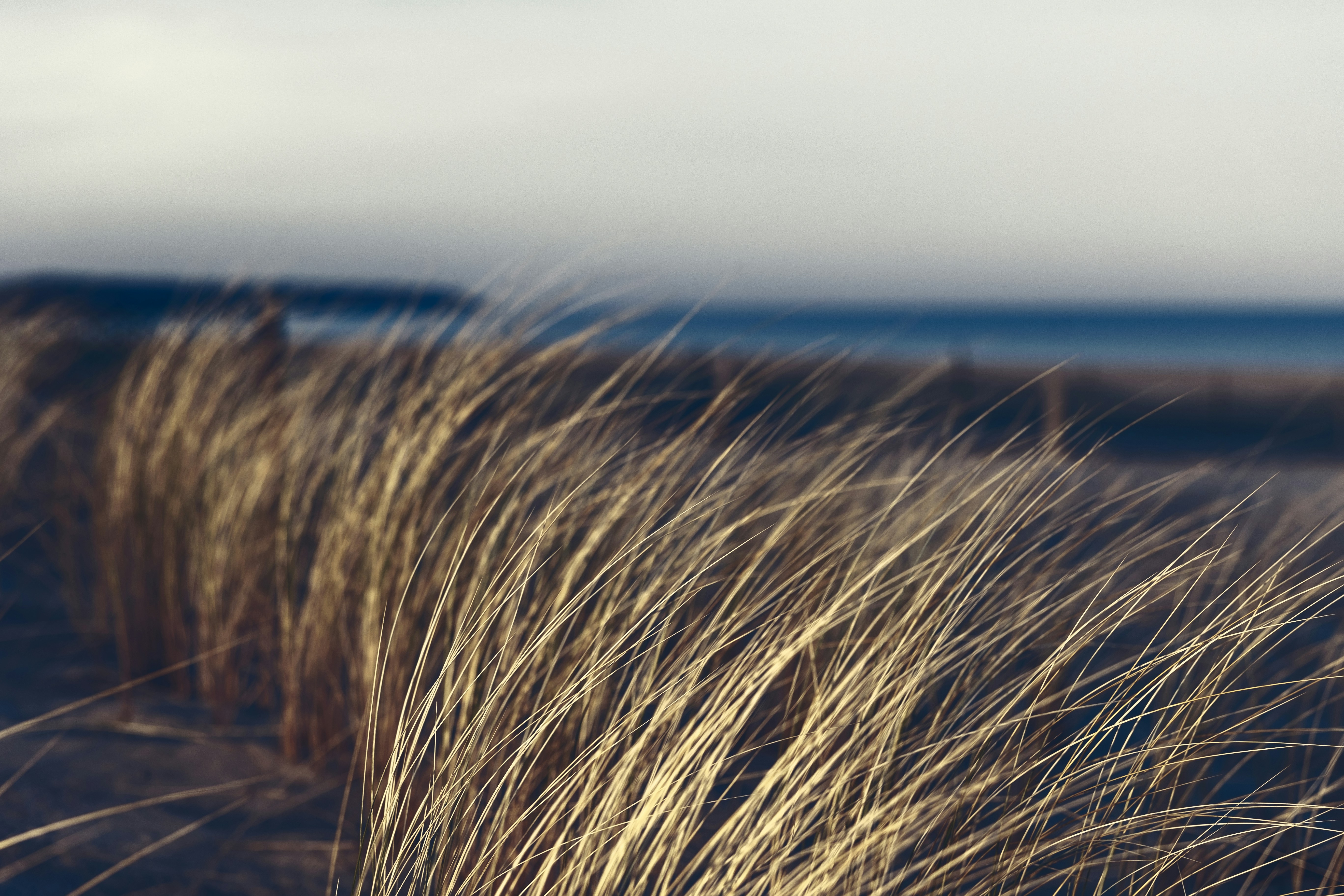 Photo by stefaniejockschat