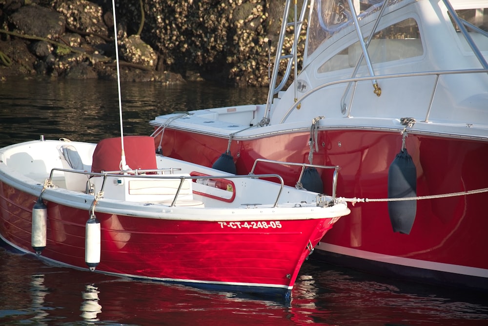昼間の水上の赤と白のボート