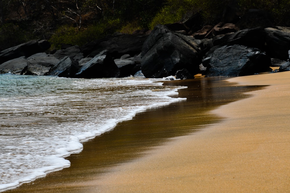 brown sand near body of water during daytime