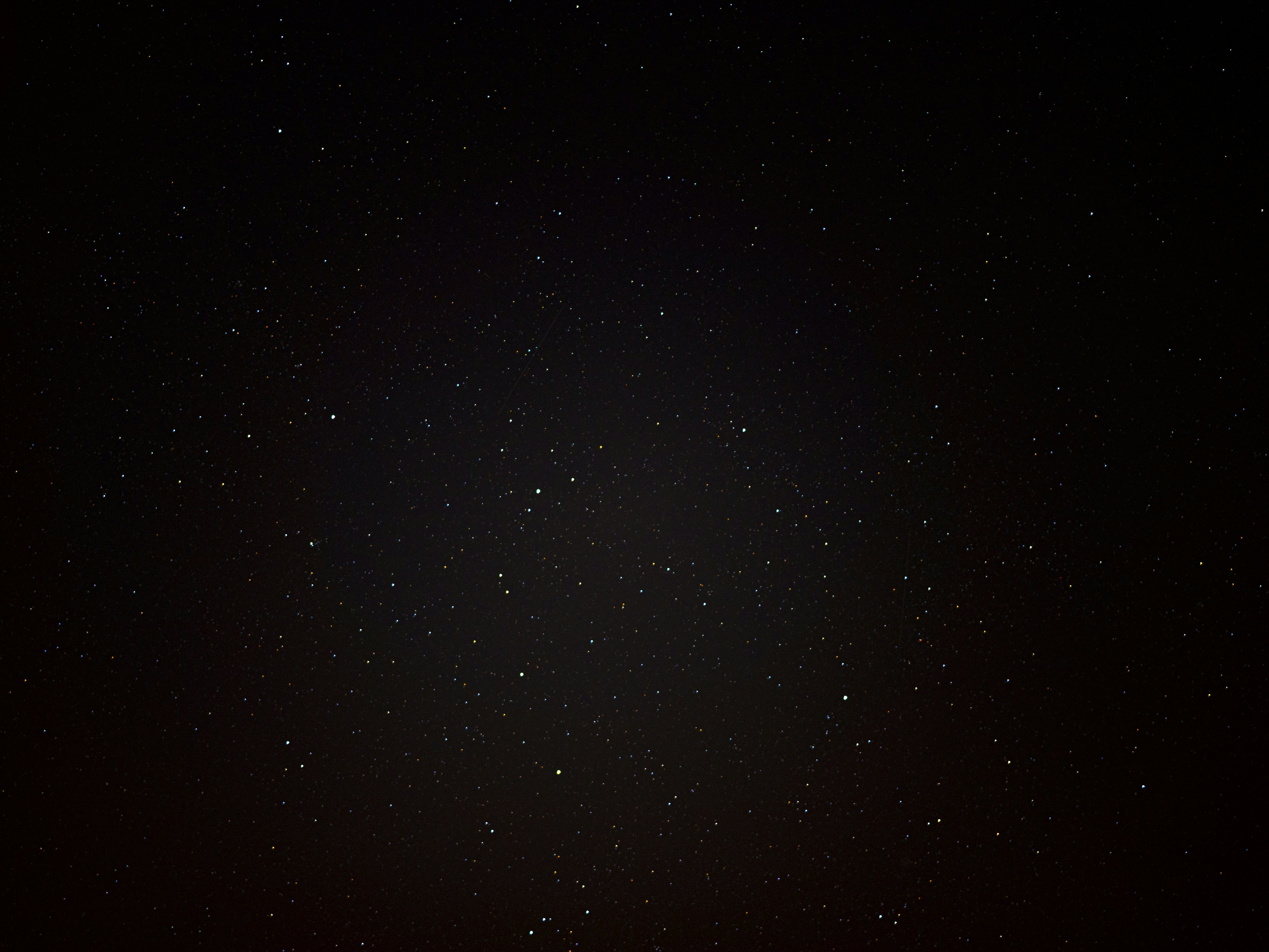 photo-1617450382310-f898d9b15131?ixid=M3wxMjA3fDB8MXxzZWFyY2h8MTQ4fHx3aG9sZSUyMHN1bW1lciUyMGJsYWNrJTIwdHJ1ZmZsZXN8ZW58MHx8fHwxNzAxNTIwNzQ1fDA%5Cu0026ixlib=rb-4.0.3