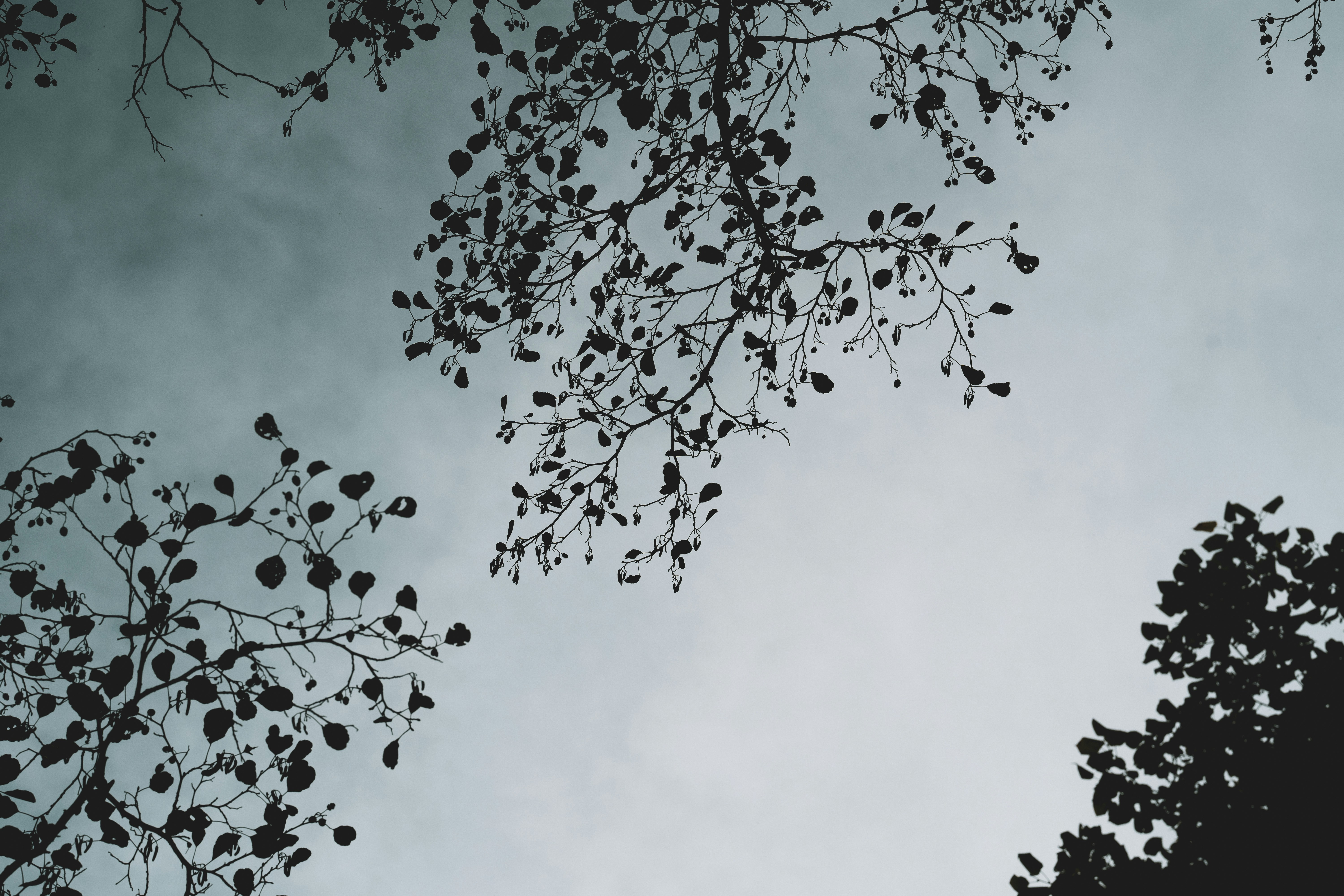 Photo by omarvellous14