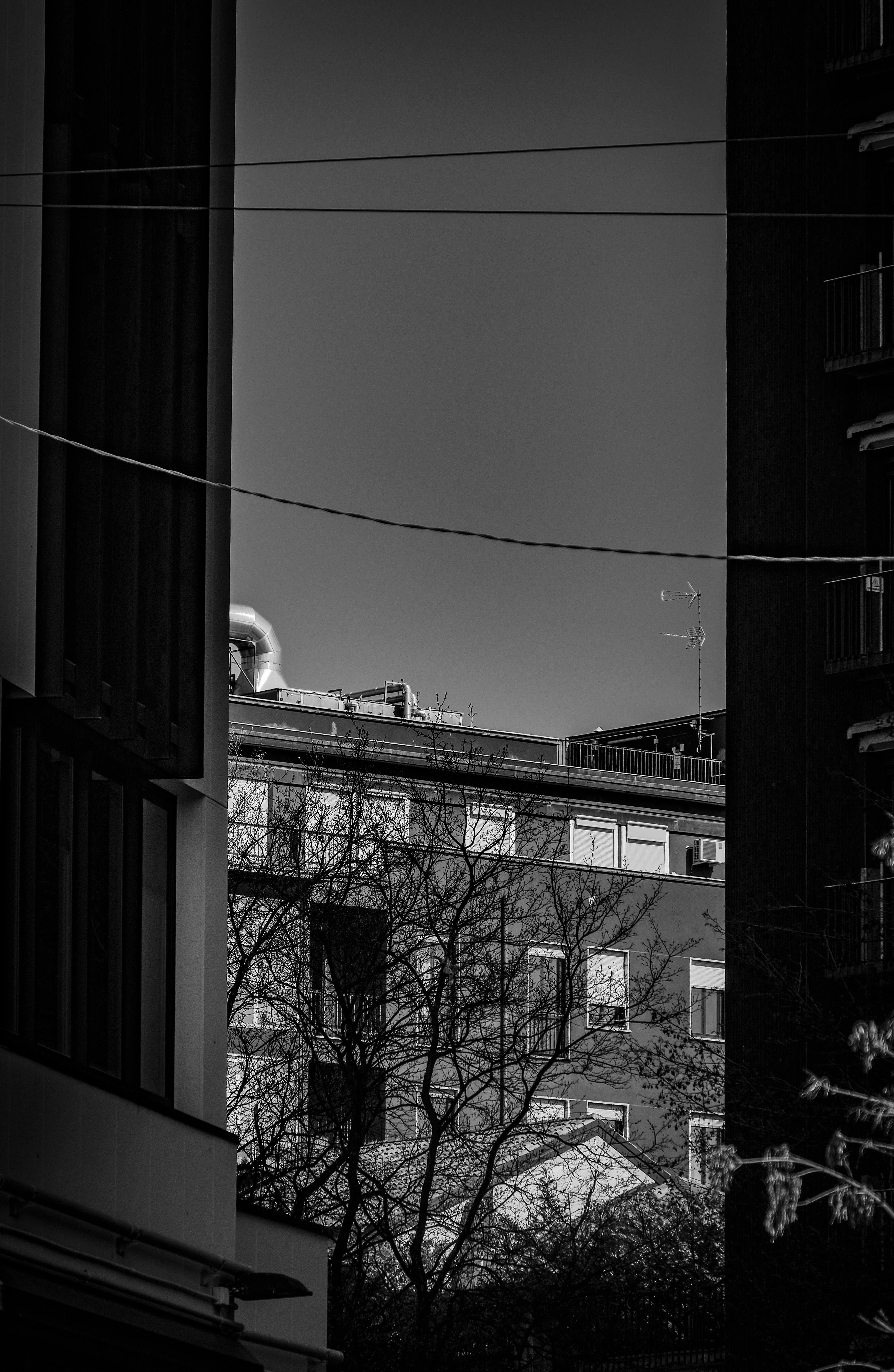 Photo by francesco_ungaro