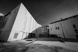 Black and white photo of a modern landscape architecture project with clean geometric lines.