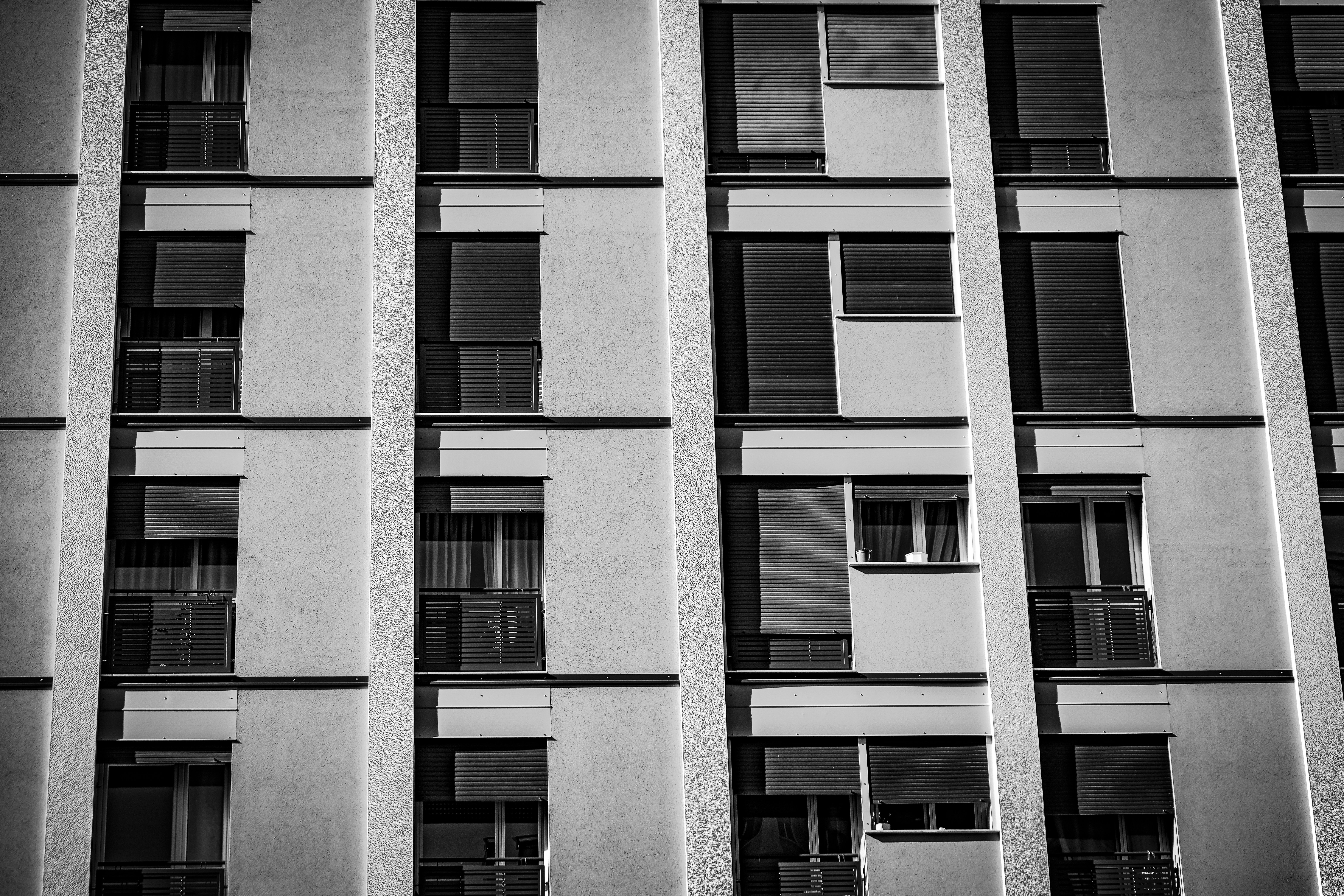 Photo by francesco_ungaro