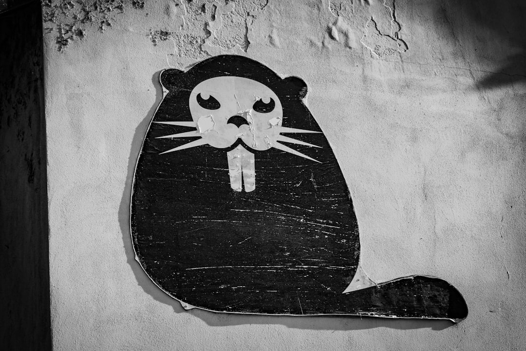 black and white panda illustration