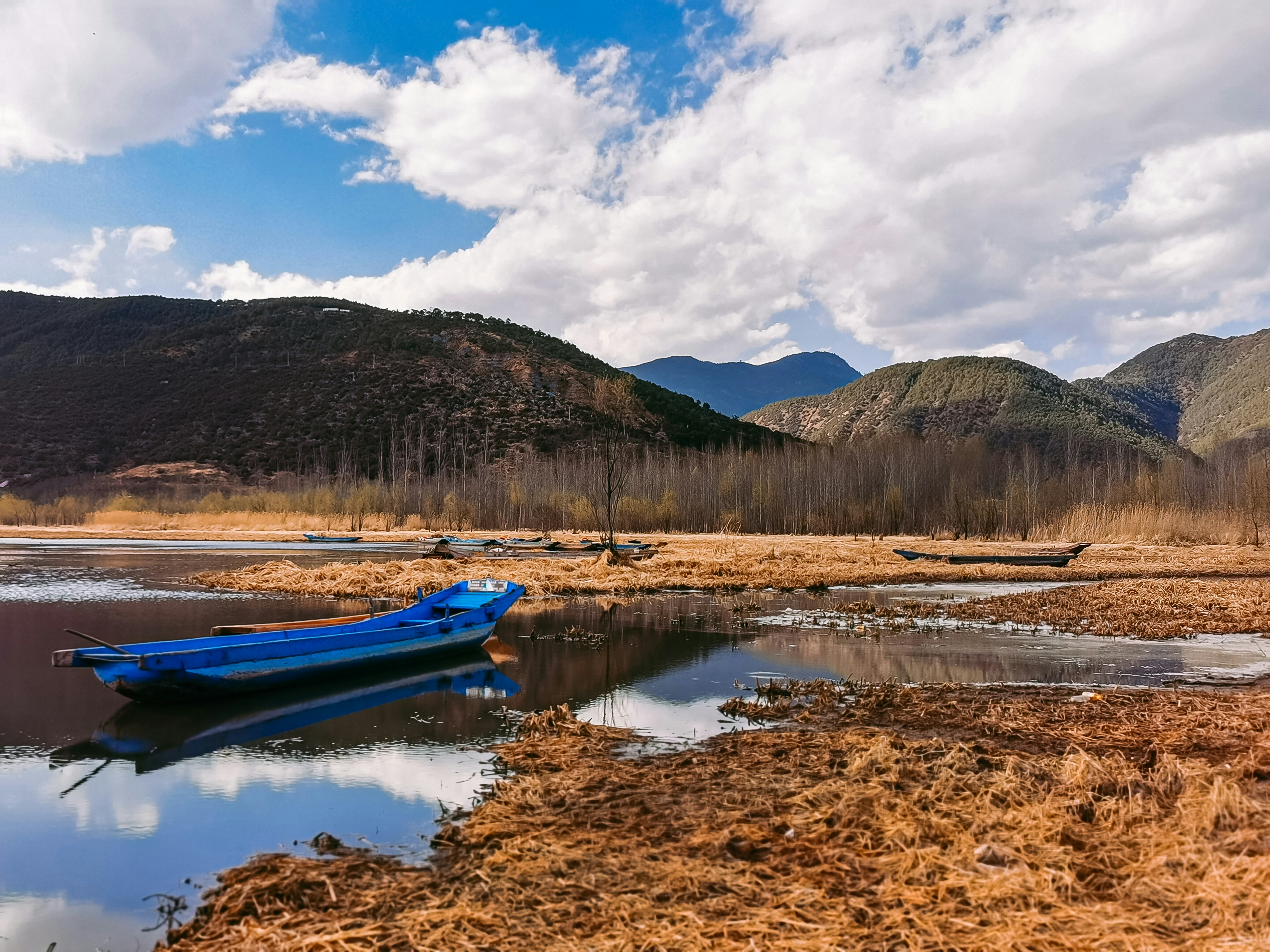 Blaues Boot auf See in der Nähe von grünen Bäumen und Bergen während des Tages