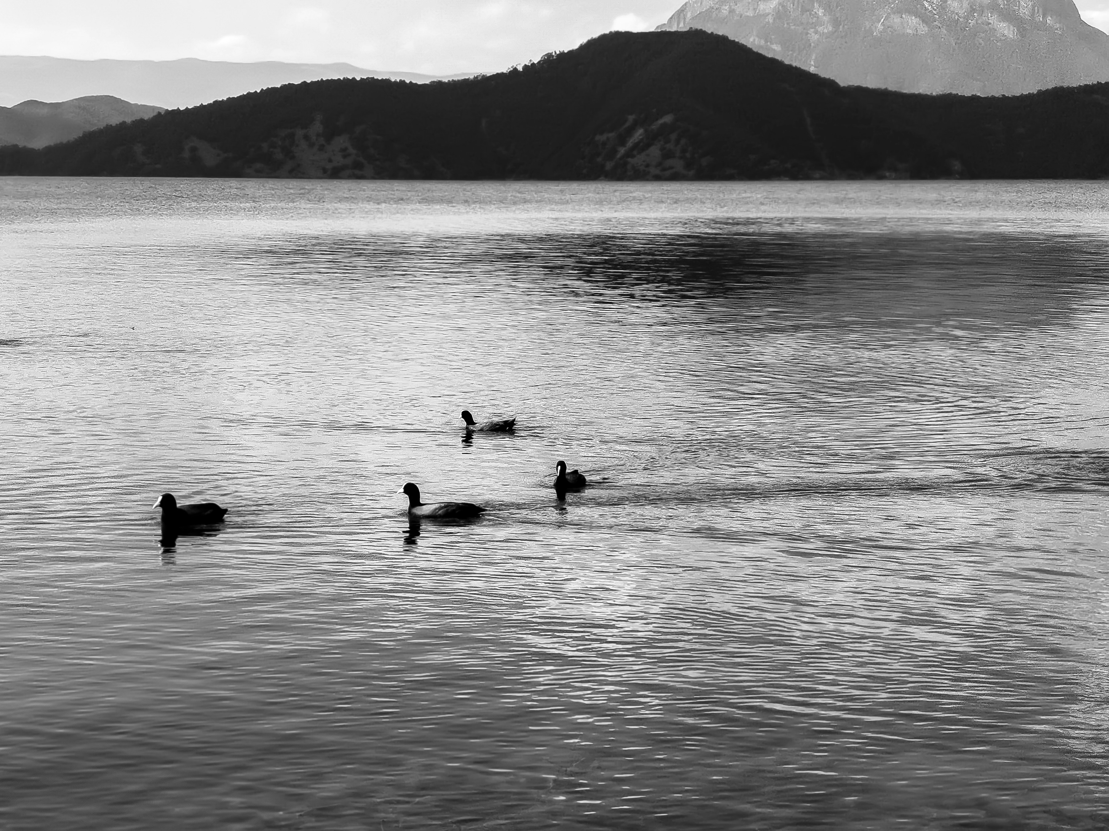 Silhouette von Menschen, die tagsüber auf See schwimmen