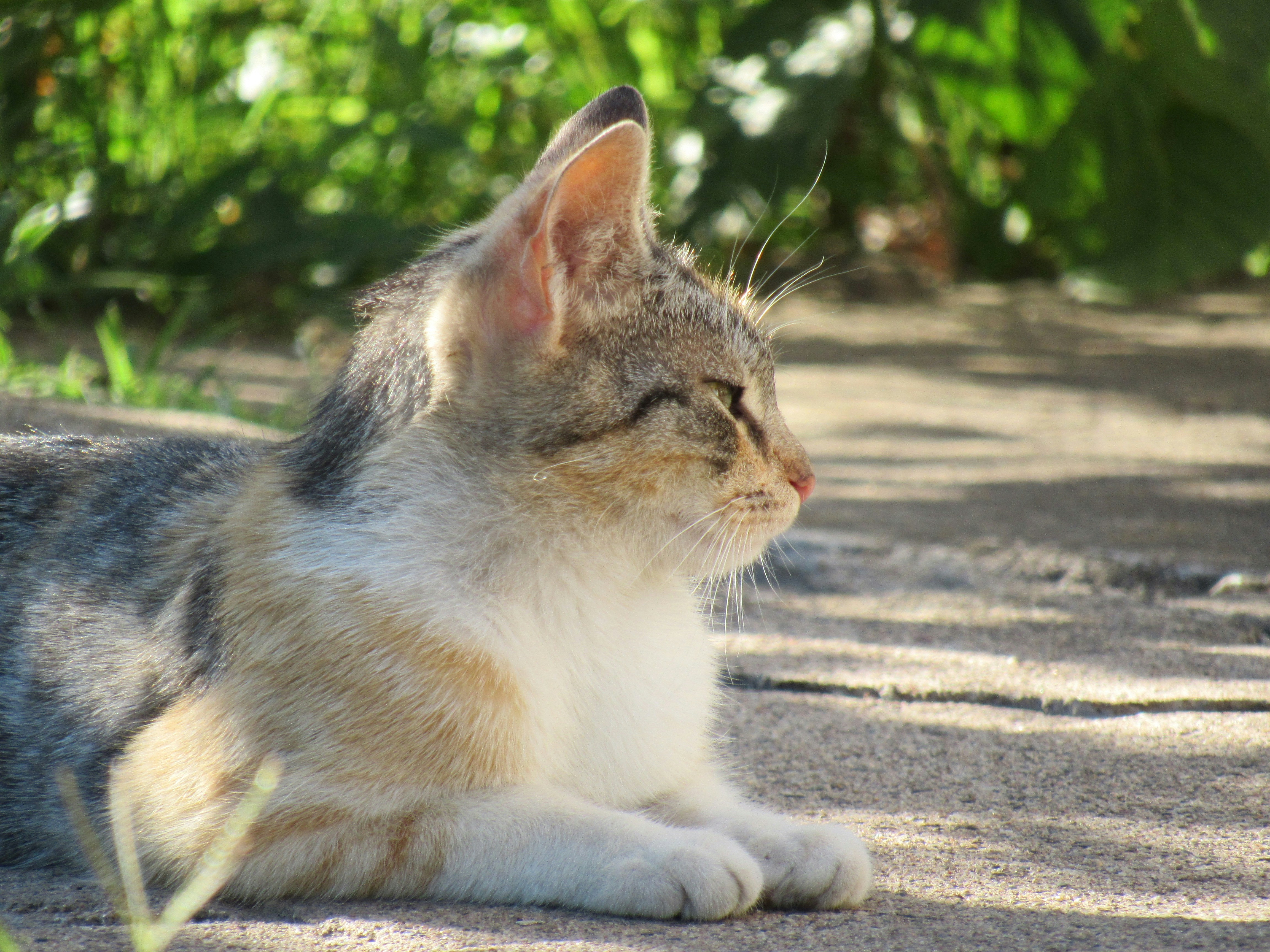 Photo by yanastoycheva