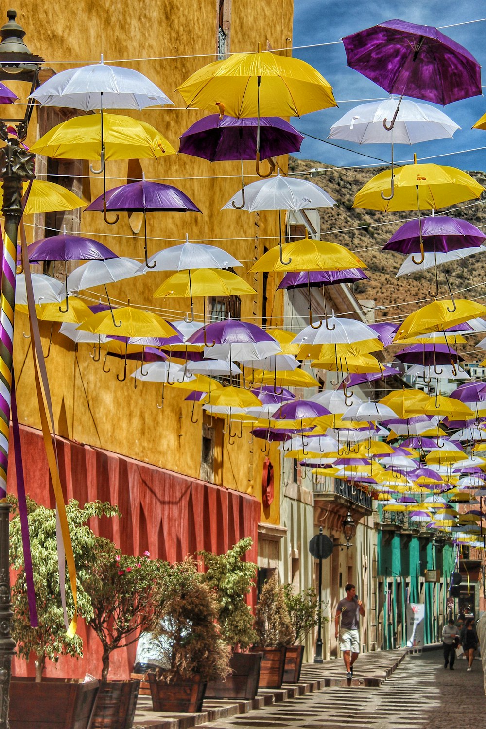 assorted umbrellas hanged on brown wooden fence during daytime